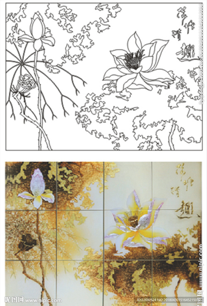 荷花