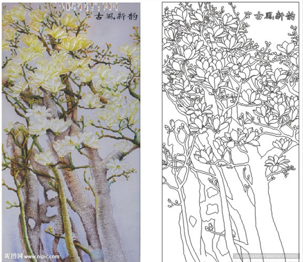 玉兰