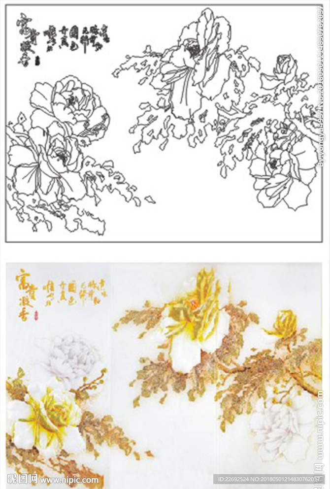 牡丹