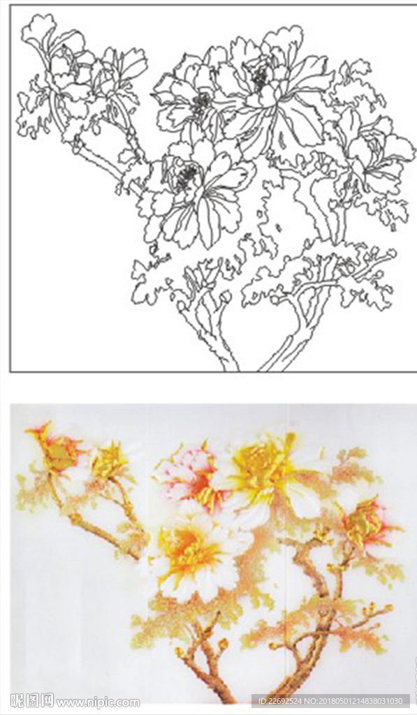牡丹花