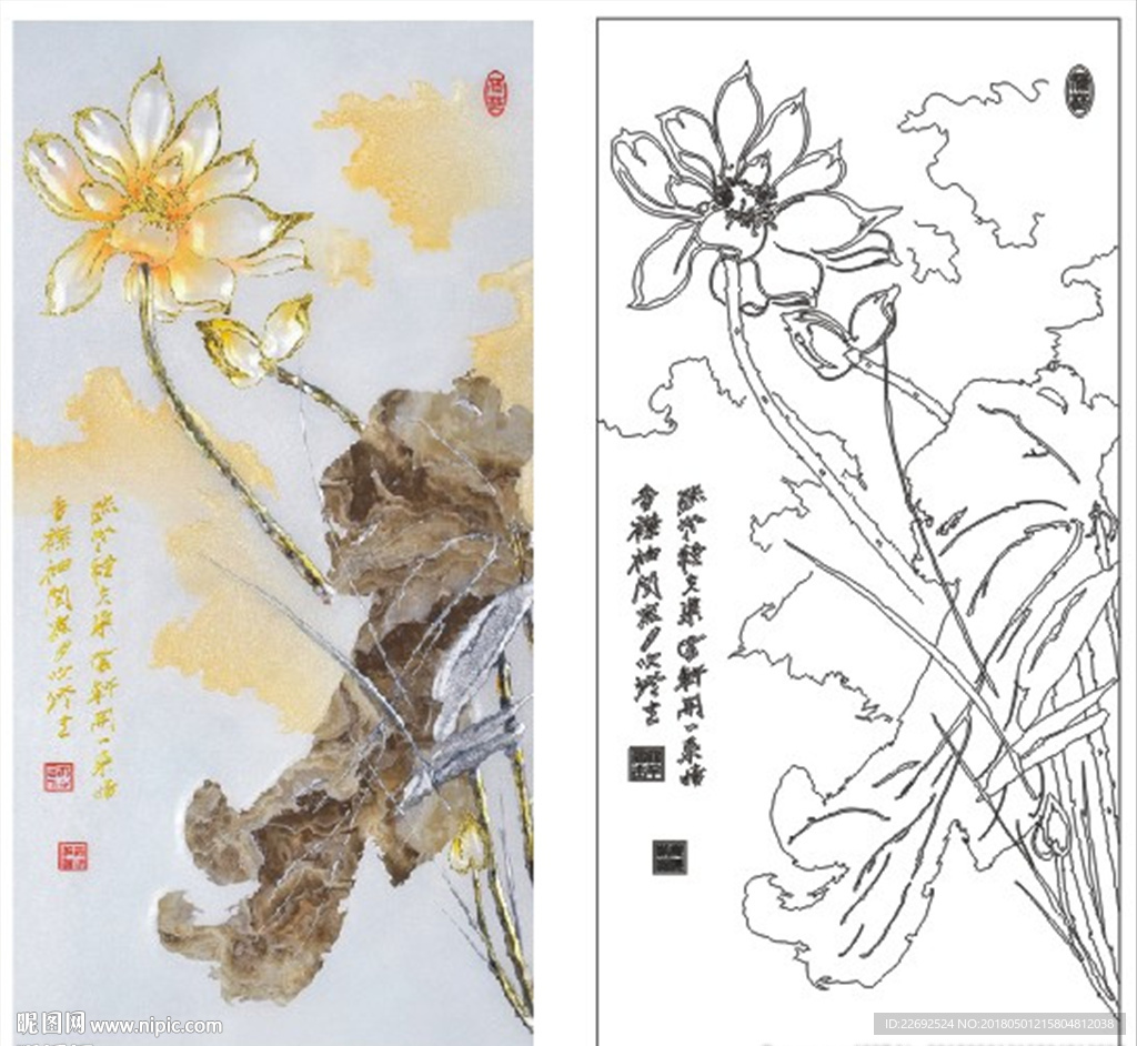 荷花