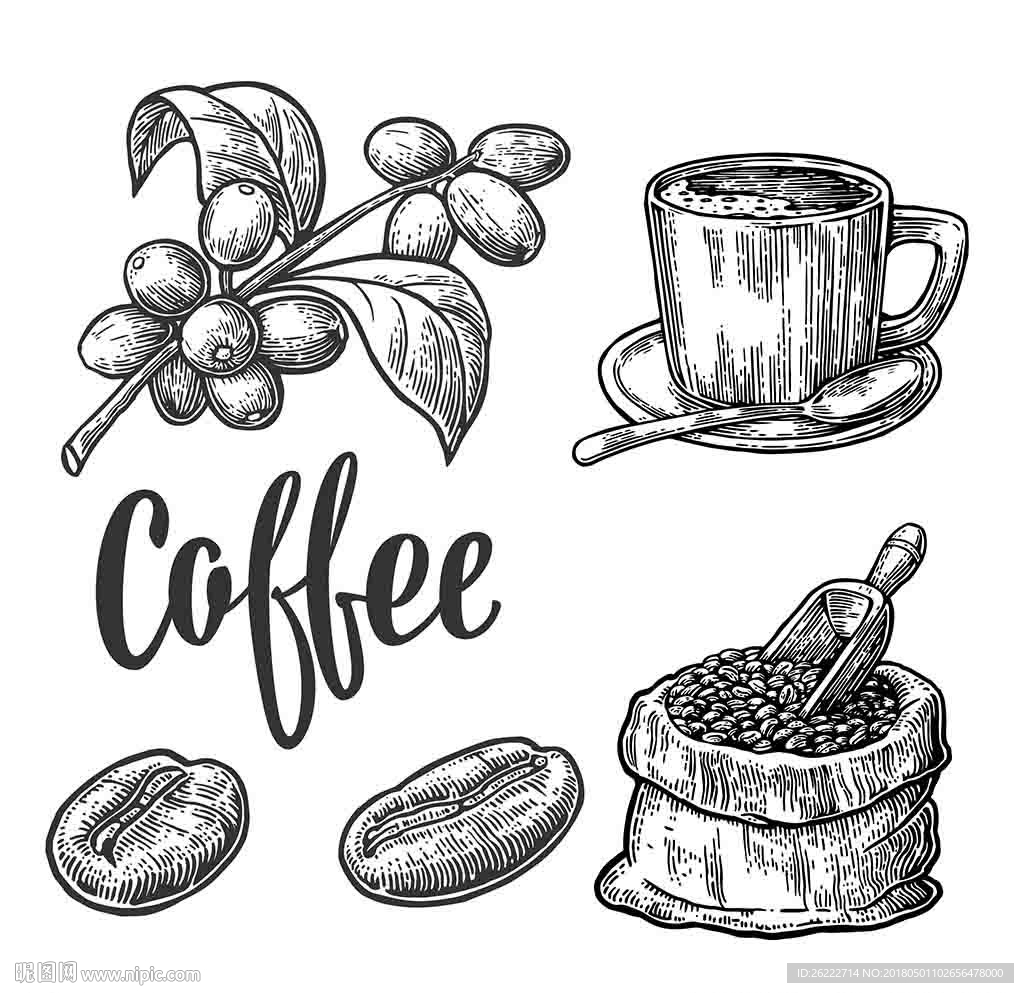 咖啡手绘素描设计素材