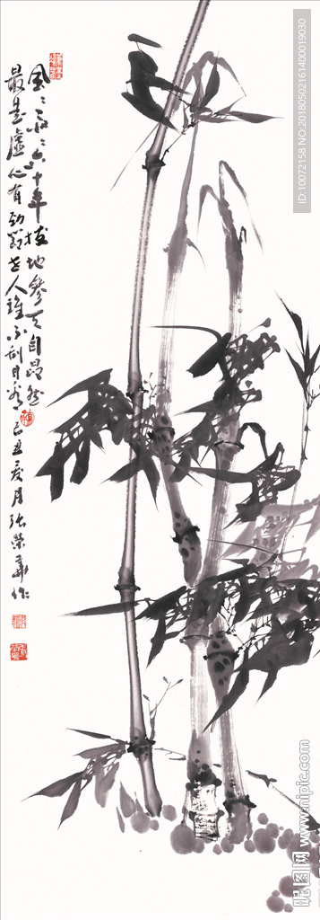 张荣华 高清水墨竹子（不分层）