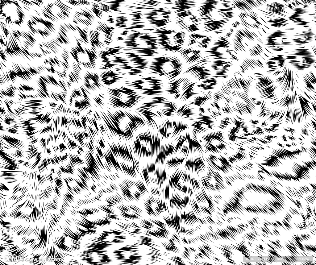 豹纹