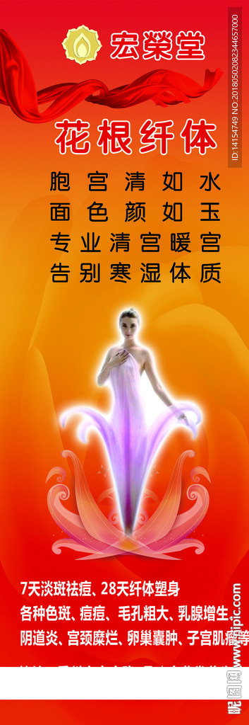 花根纤体（展架）