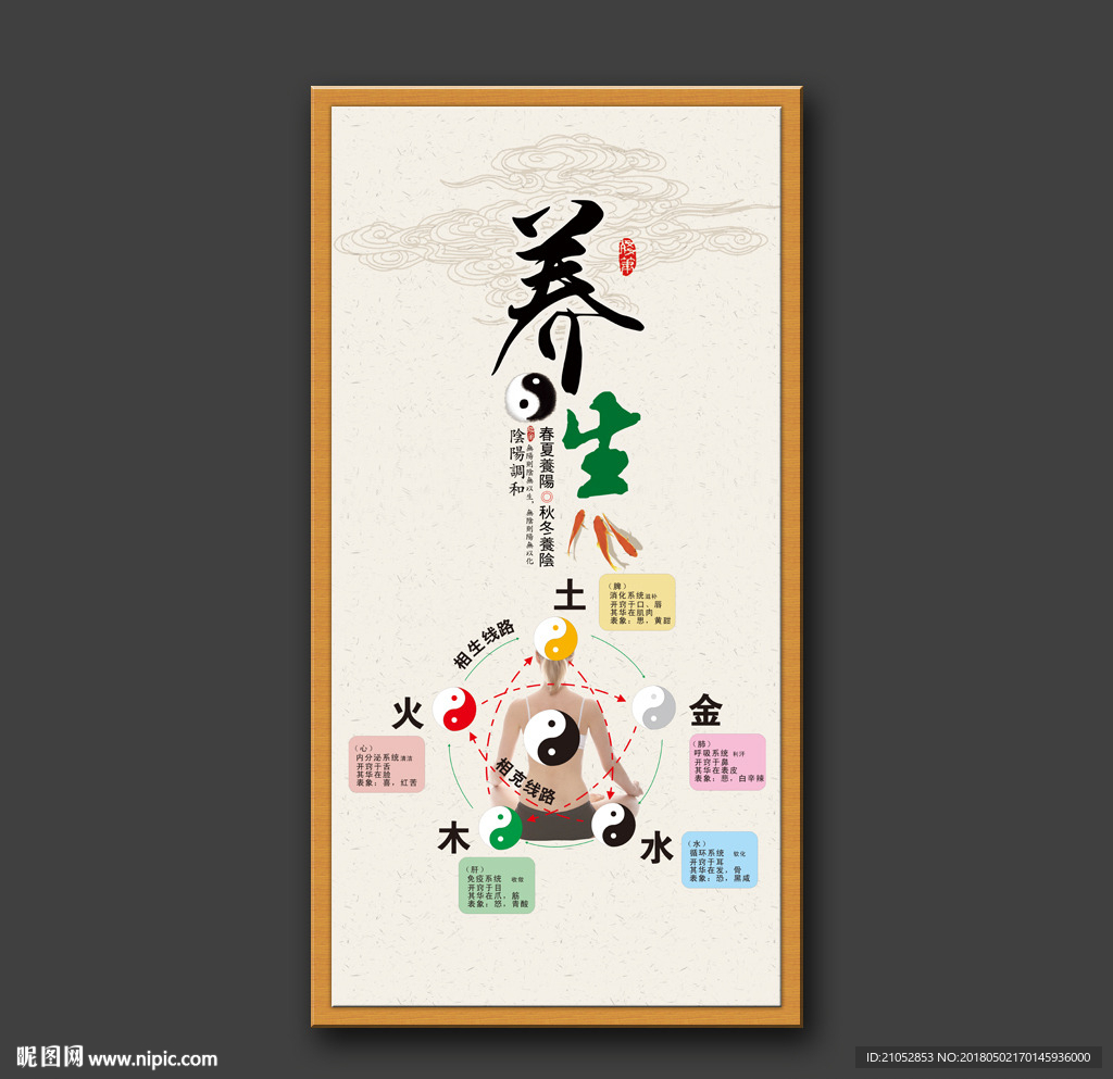 中医养生展板