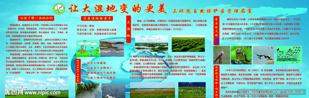 大湿地