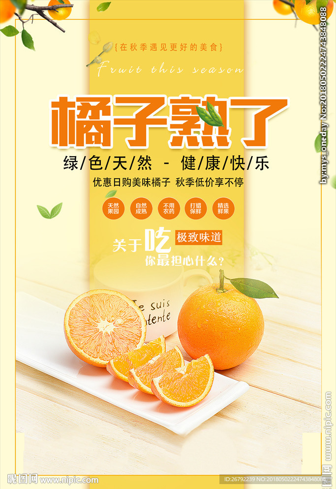 橘子海报 柑橘海报 水果橙子