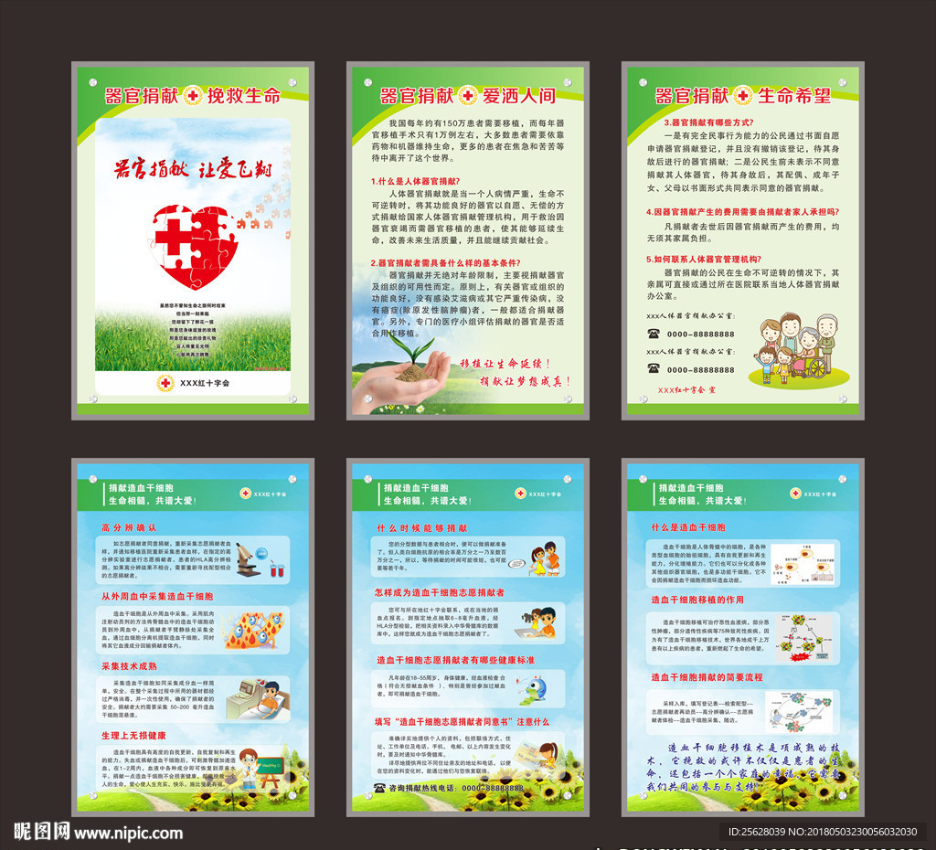 红十字会宣传展板
