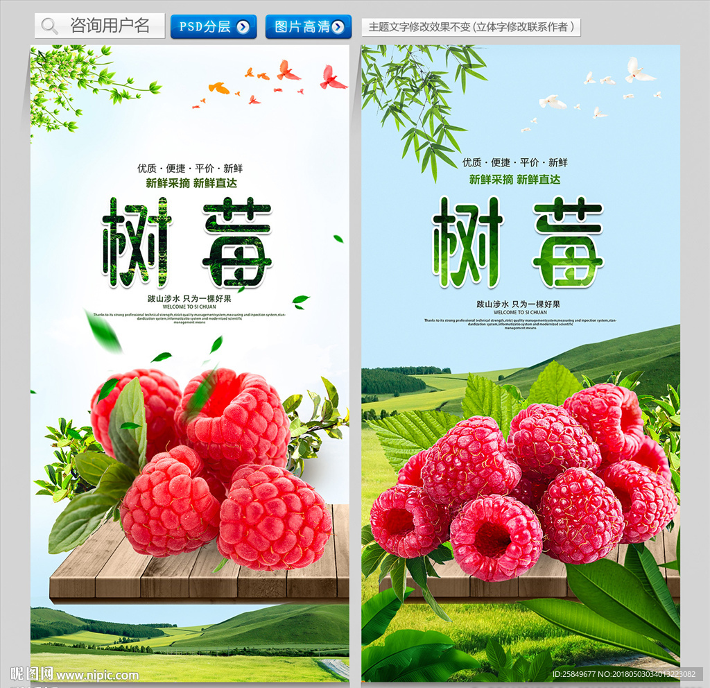 树莓