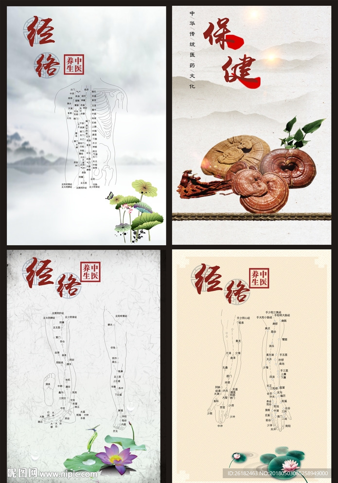 经络图
