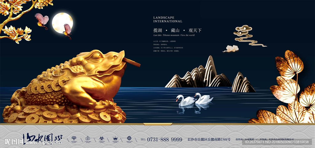 金蟾蜍