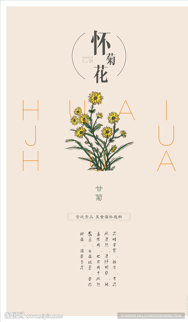 四大怀药-怀菊花