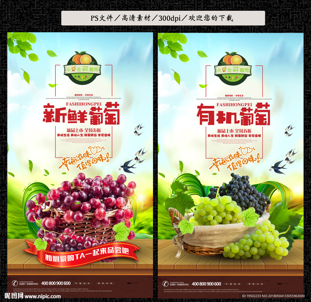 葡萄