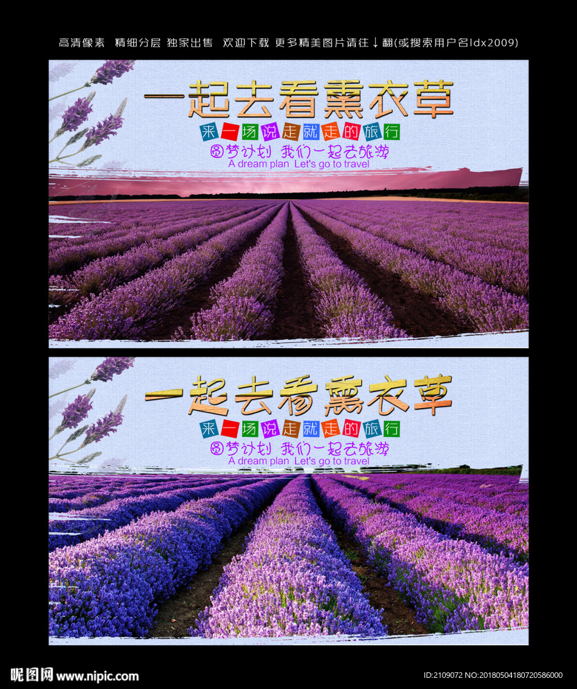 熏衣草