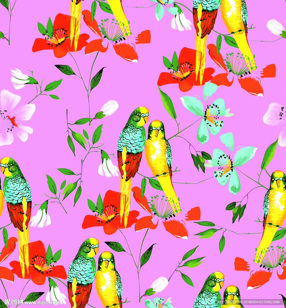 手绘鹦鹉花鸟