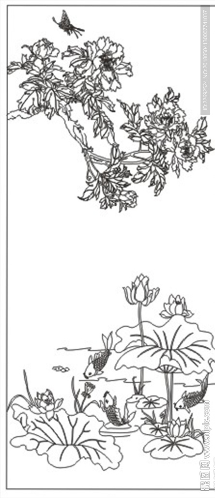 荷花