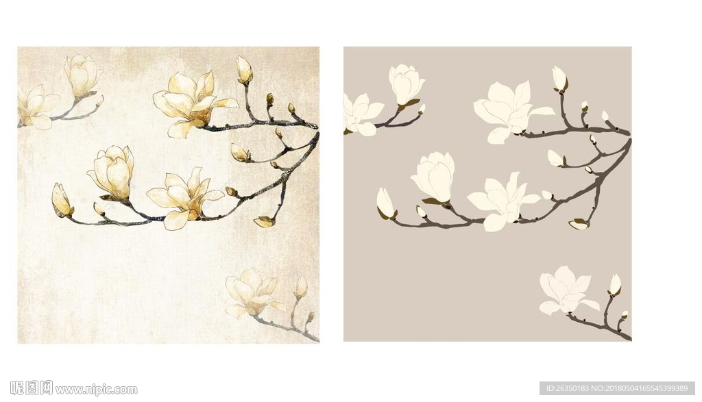 玉兰花