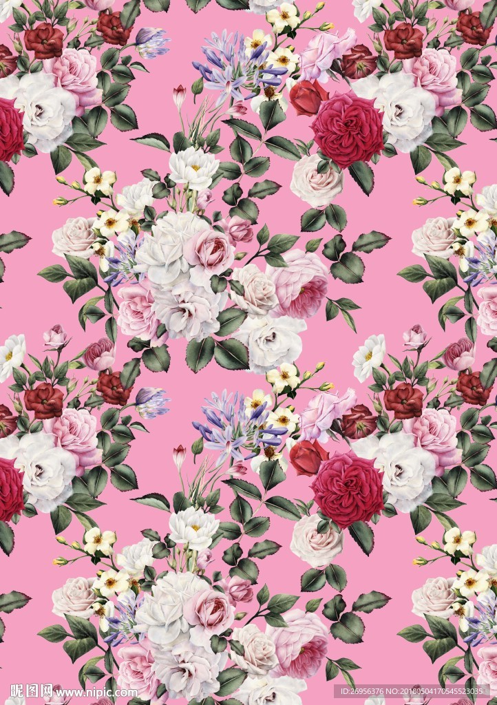玫瑰花