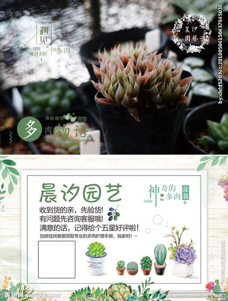 花卉多肉植物