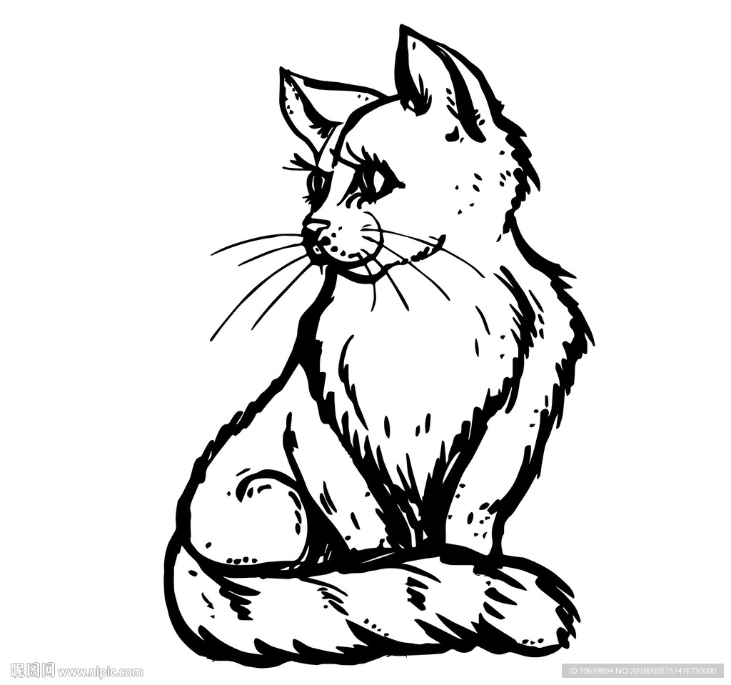 猫