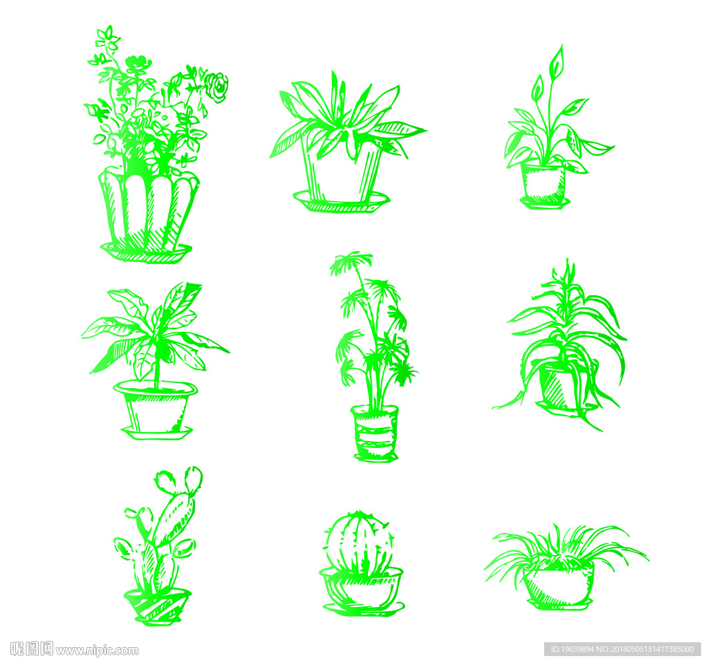 盆栽植物