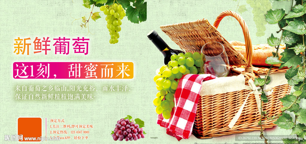 葡萄海报 葡萄上市 提子 红缇