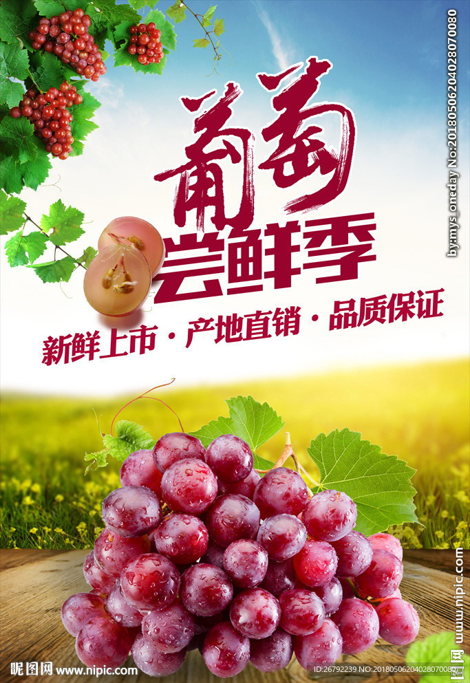葡萄海报 葡萄上市 提子 红缇