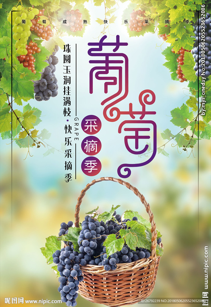 葡萄海报 葡萄上市 提子 红缇