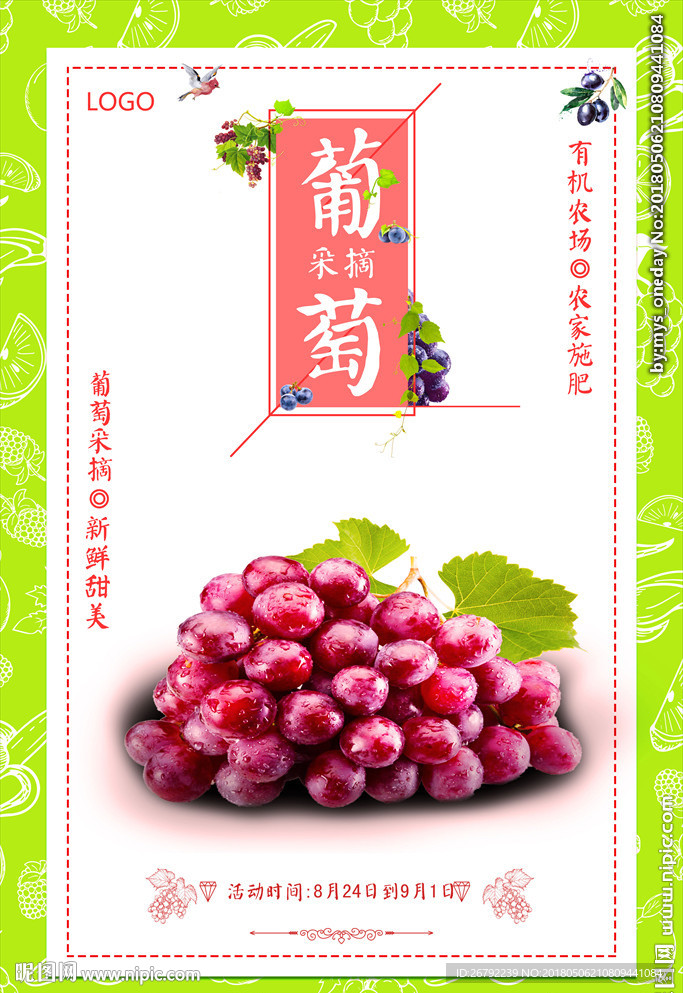 葡萄海报 葡萄上市 提子 红缇
