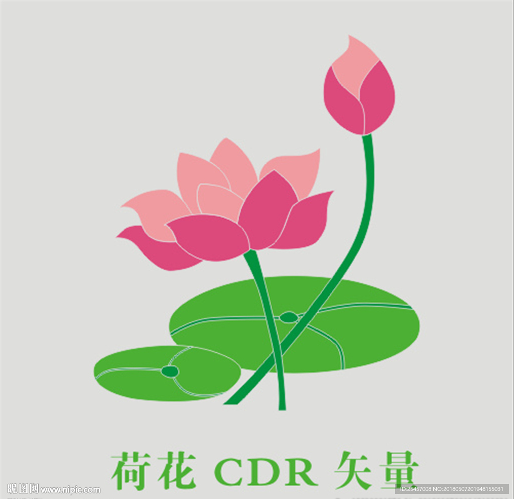 荷花