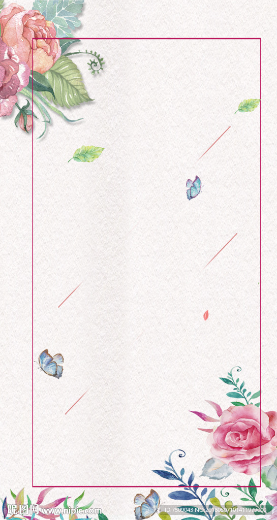 手绘植物插画