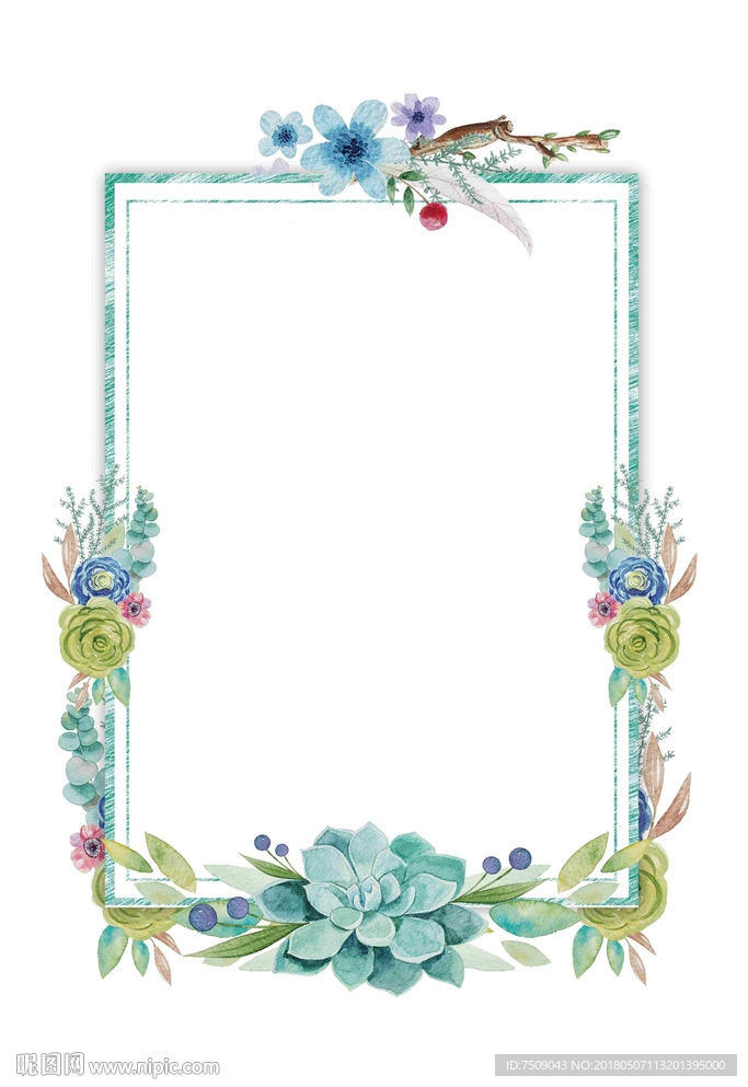 植物插画