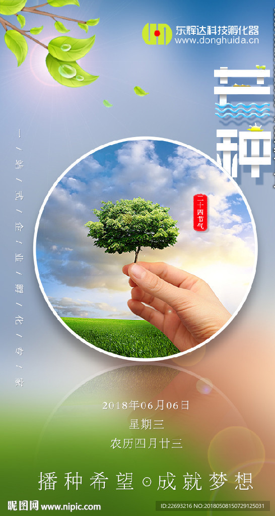 芒种海报