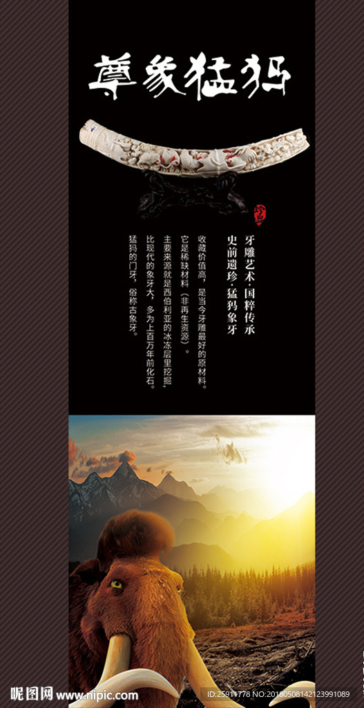 猛犸象牙
