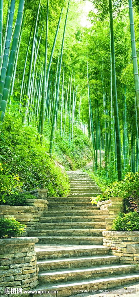 竹林小道