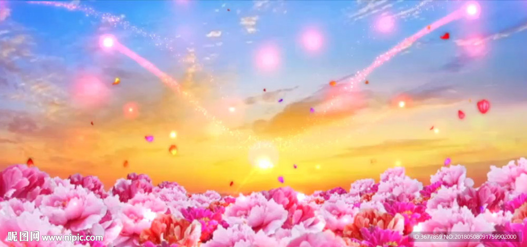 花海