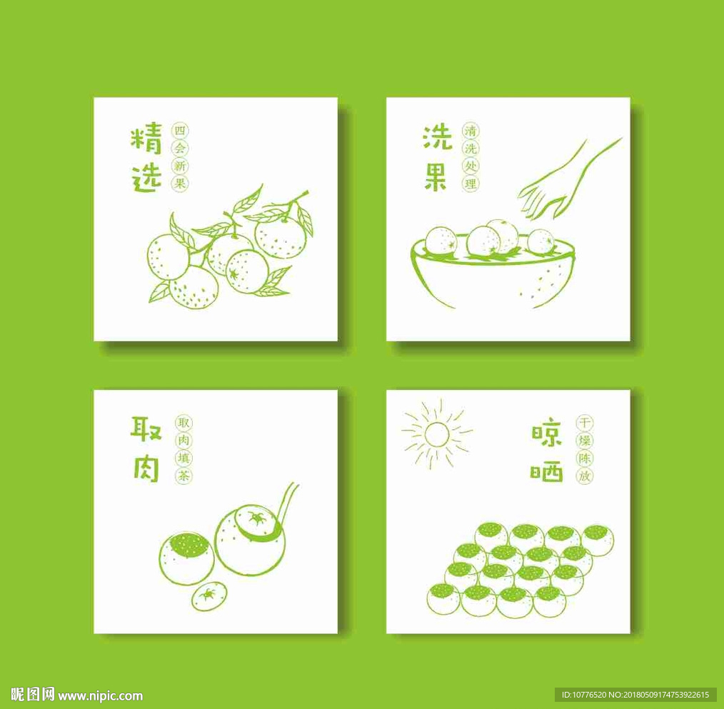 陈皮普洱 小青柑 矢量 手绘图