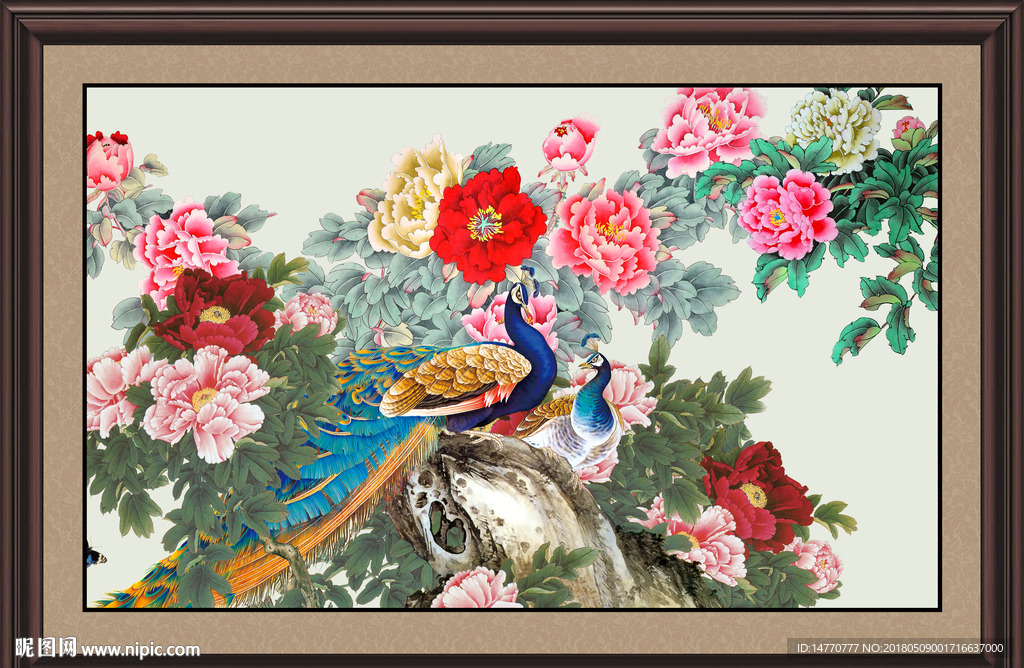 花开富贵孔雀图