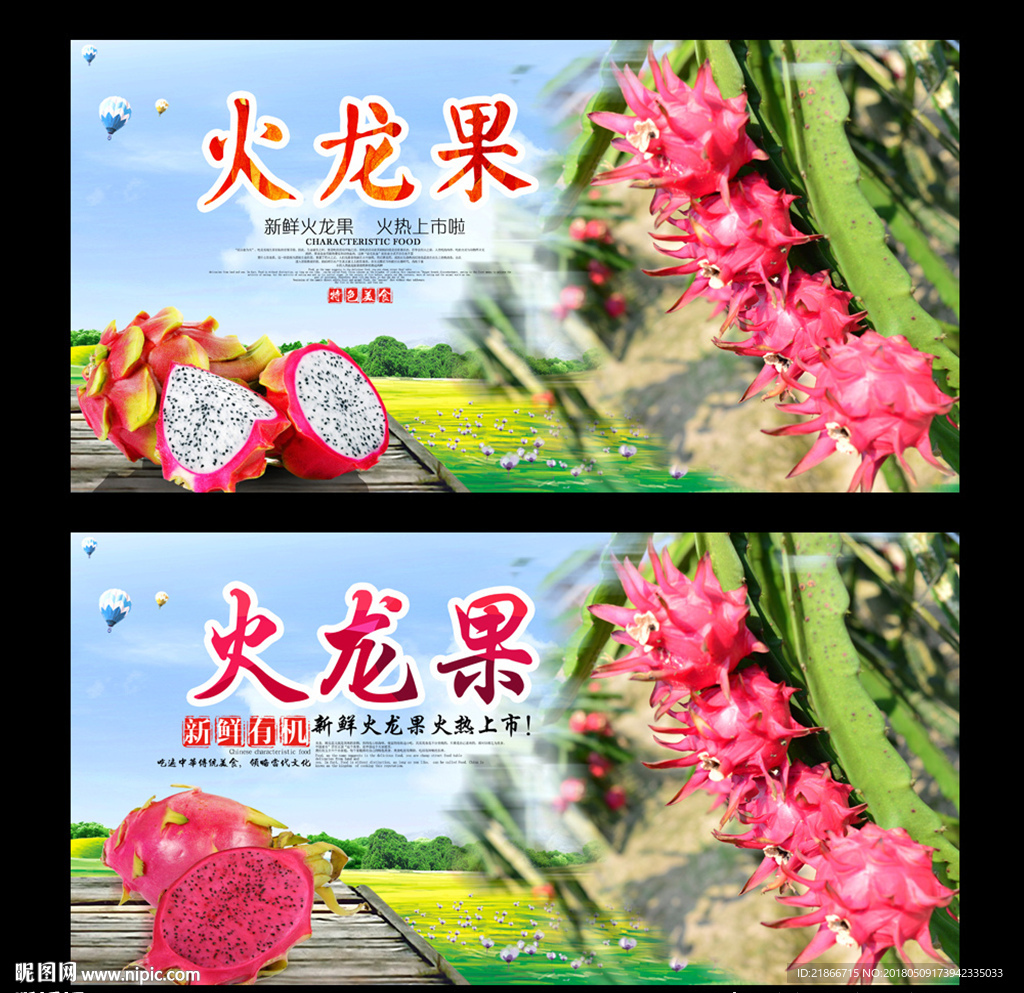 火龙果