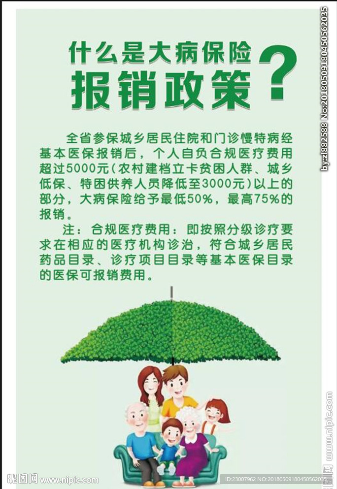 大病报销政策