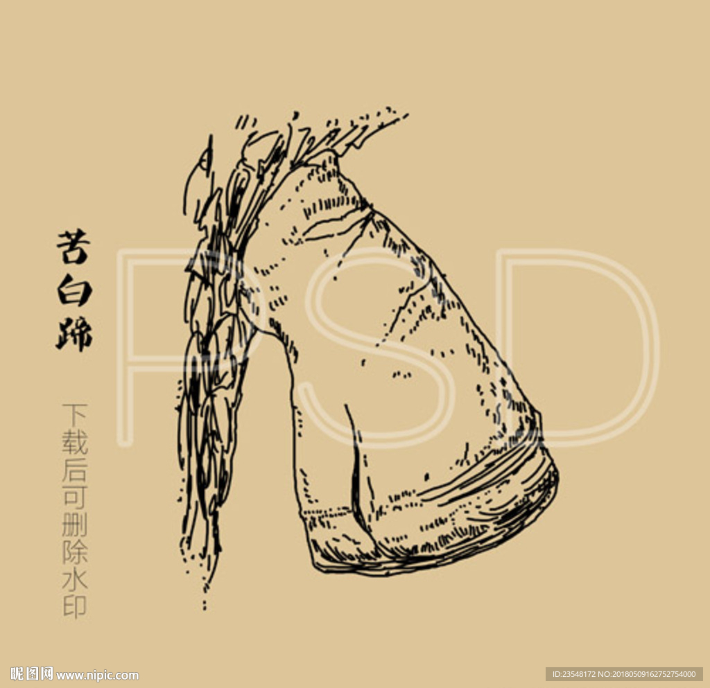 苦白蹄