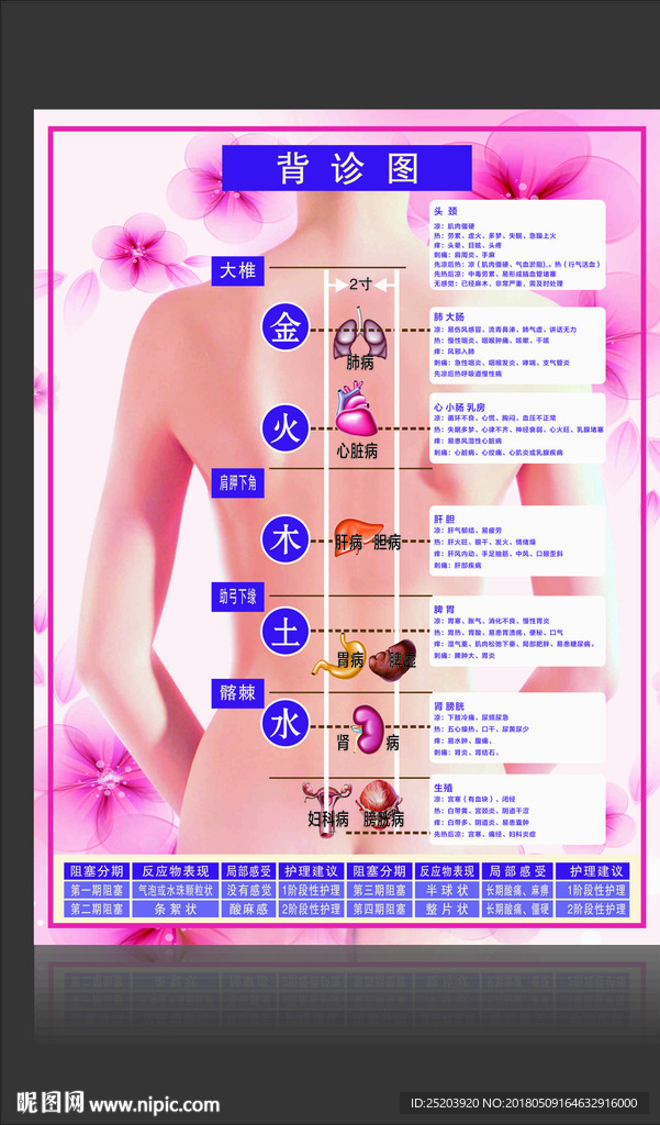 背诊图