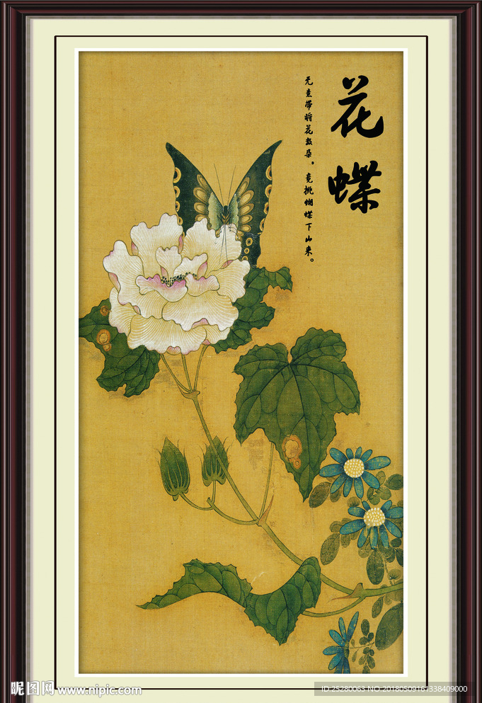 蝴蝶