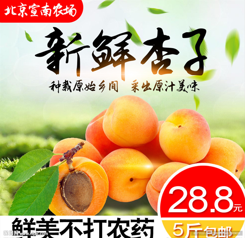 杏子创意主图