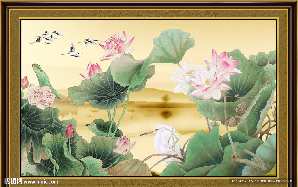 荷花图