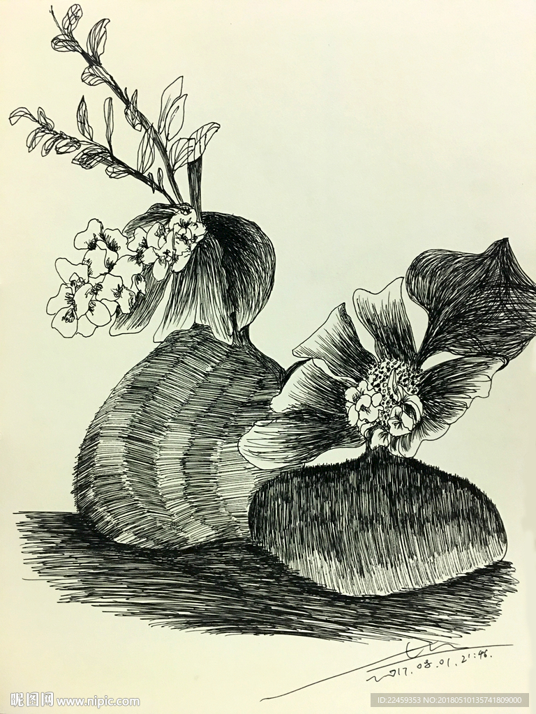 花绘插图