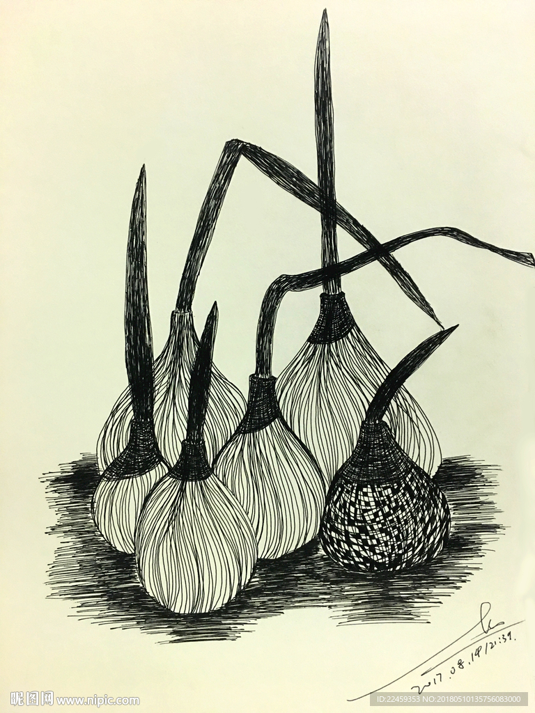 花绘插图