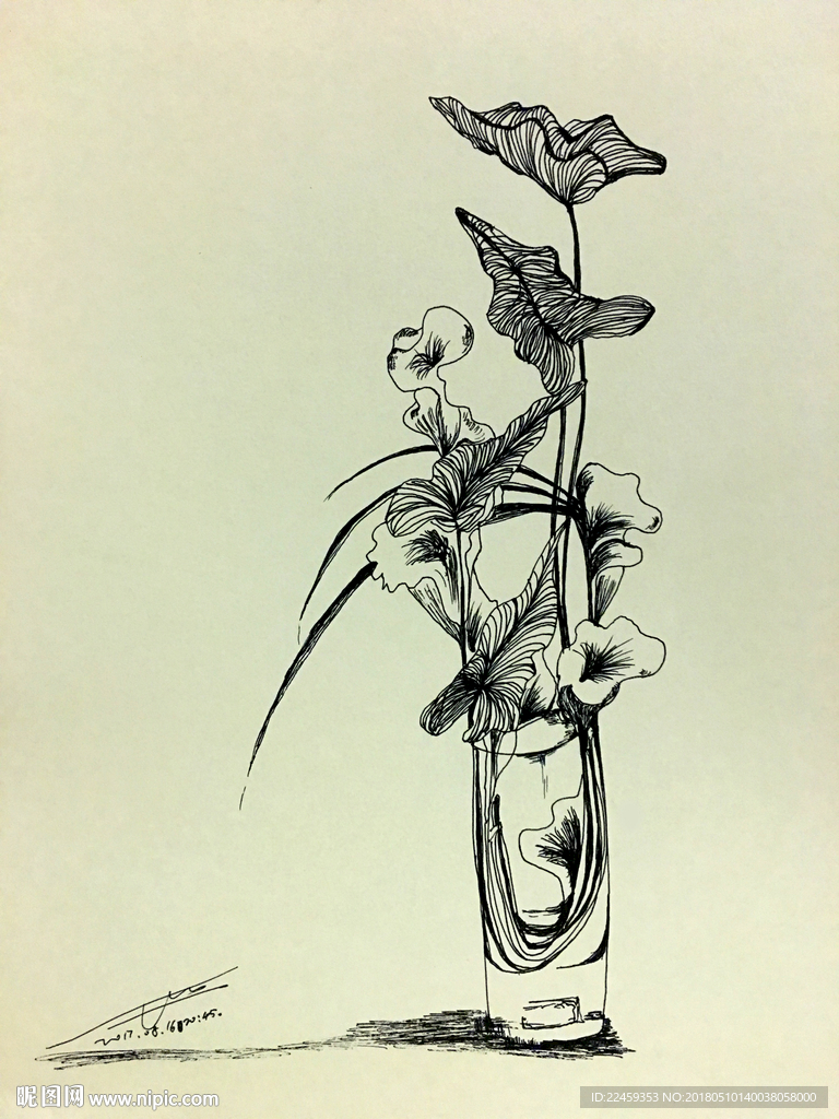 花绘插图
