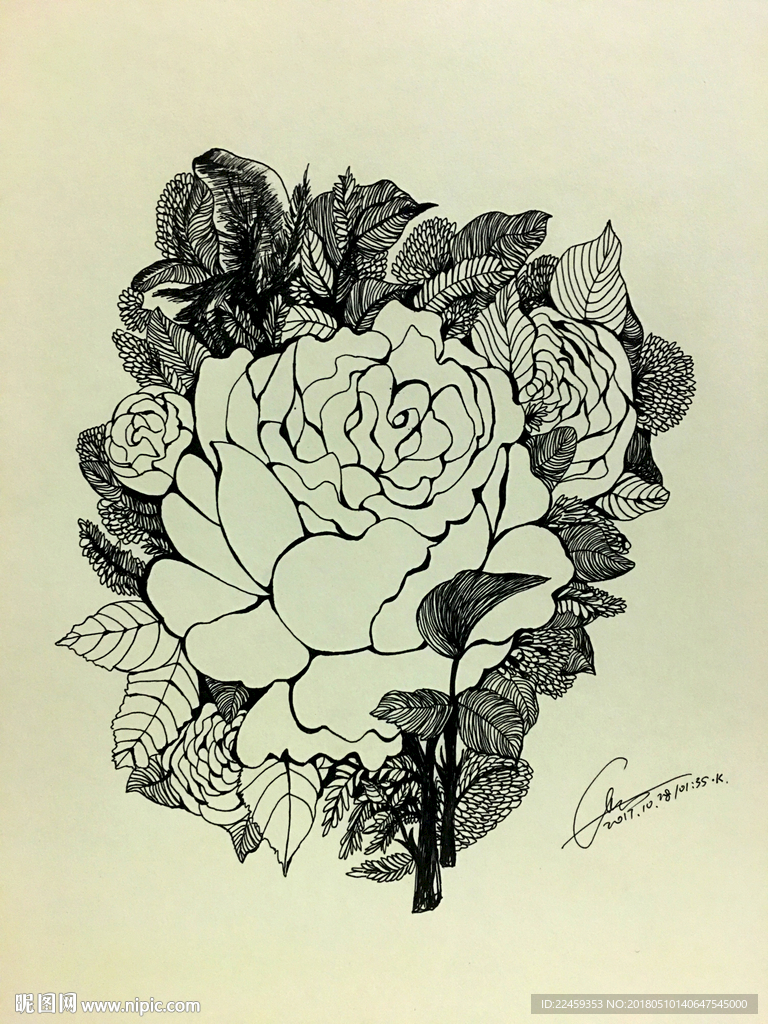 花绘插图